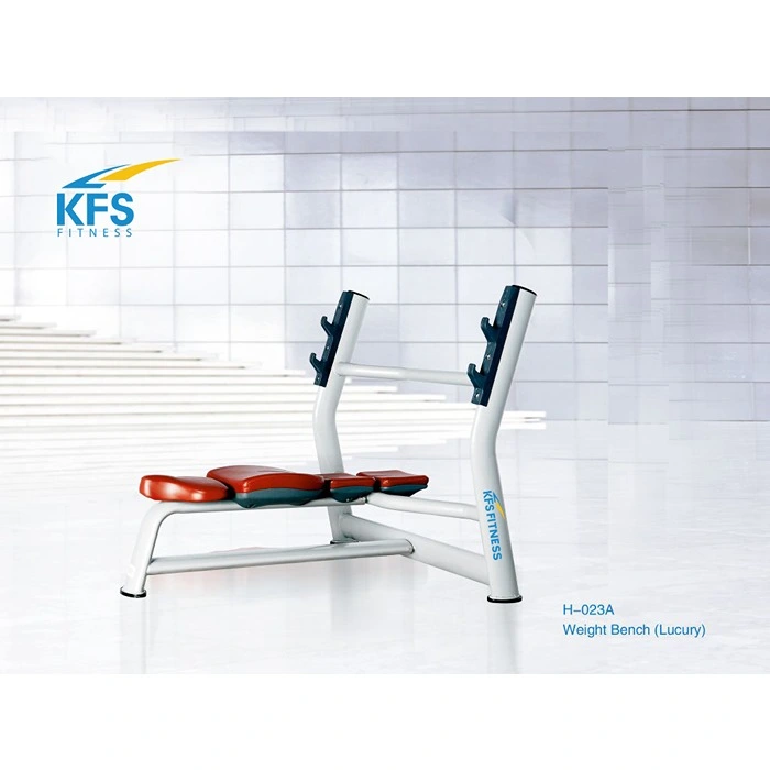 Weight Bench (Luxury) H-023A