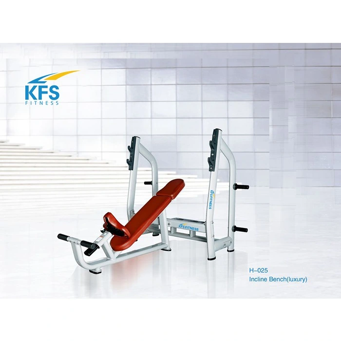 Incline Bench (Luxury) H-025