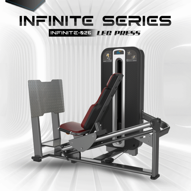 INFINITE SERIES