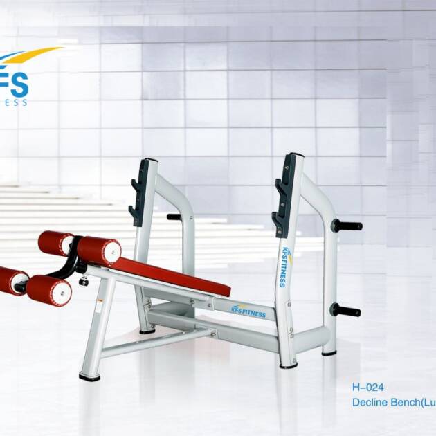 H-024 DECLINE BENCH