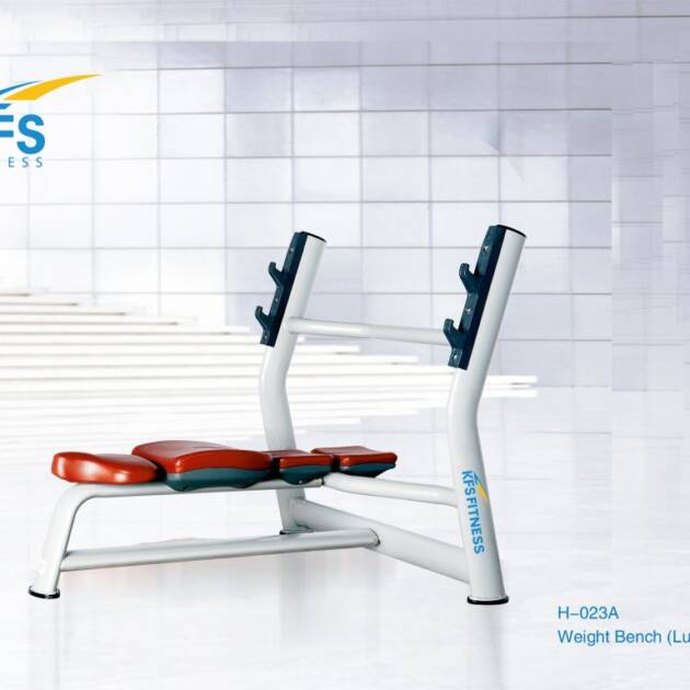 H-023A WEIGHT BENCH