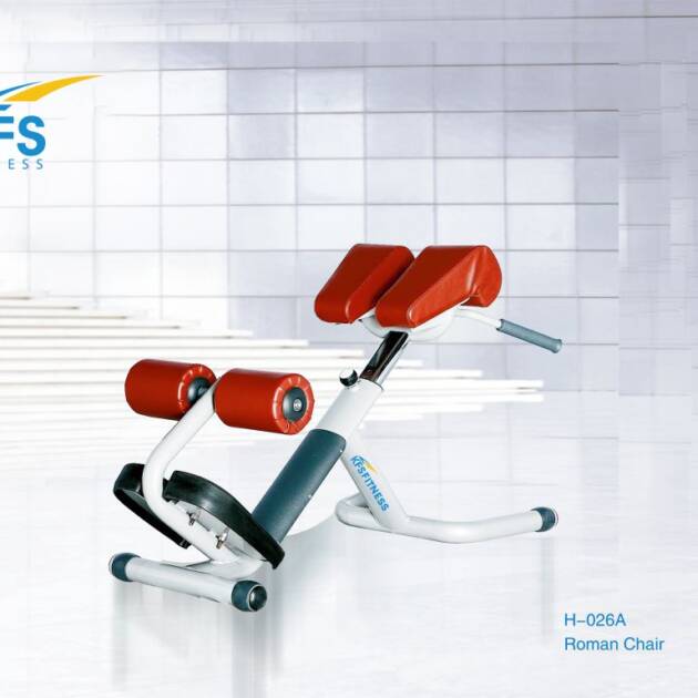 H-026A ROMAN CHAIR