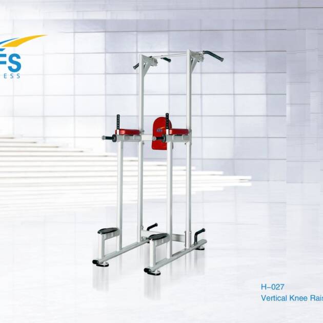 H-027 VERTICAL KNEE RAISE