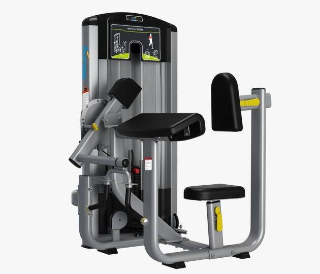 Eternal Dual Arm Curl/Tricep Extension Station