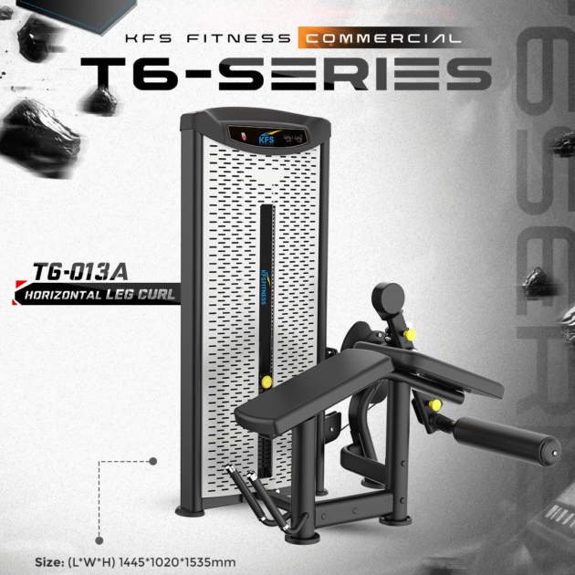 HORIZONTAL LEG CURL T6-013A