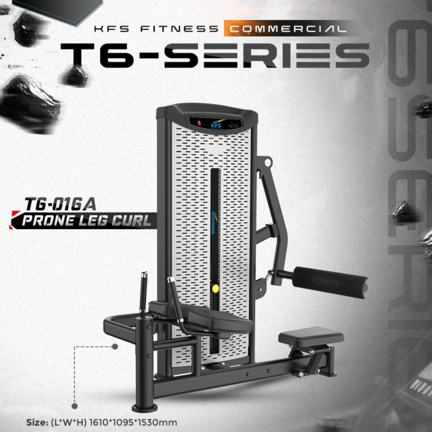 PRONE LEG CURL  T6-016A