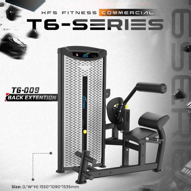 BACK EXTENSION T6-009